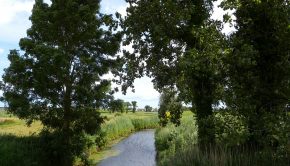 Marais-de-Dol-Atlas-des-Paysages-de-l'Ille-et-Villaine