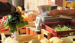 UN marché- Photo INRAE_C_Jez