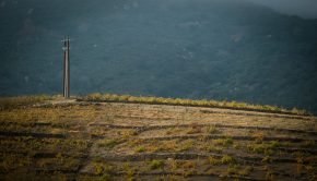 L'automne s'installe sur le vignoble de Banyuls © Yann Kerveno.jpg