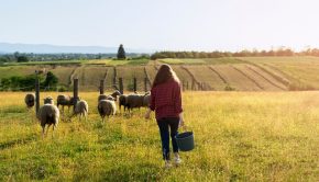 agricultrice