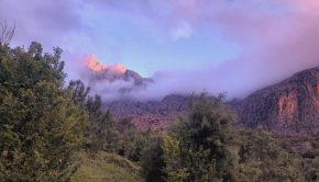 Forêt dans le massif du Djurdjura, Algérie. Photo Massi Amazouz