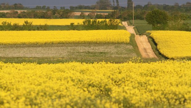 Agriculture 40 3 La Biodiversite Support De La Production Agricole Sesame